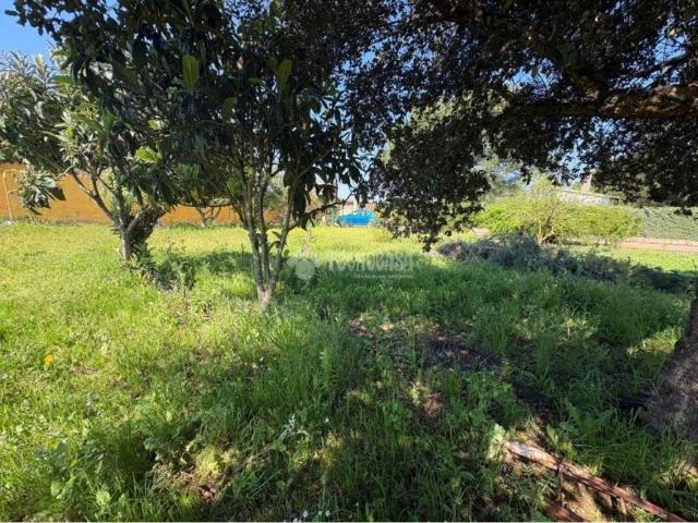 Terreno en venta en Llanos de Olivenza, Extremadura