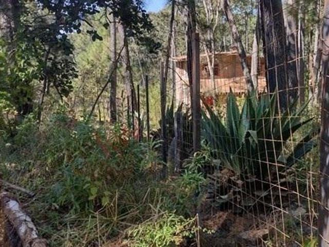 Terreno en Venta en Tapalpa en El Estuche