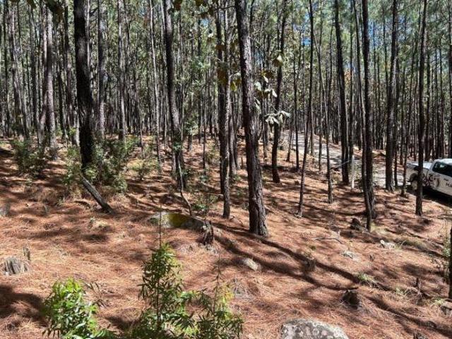 Terreno en venta en Chiquilistlán, Jalisco