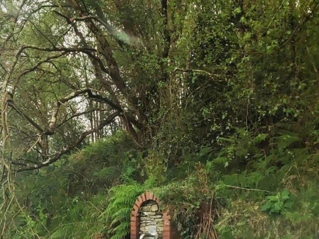 Terreno en venta en Tapia De Casariego, Asturias