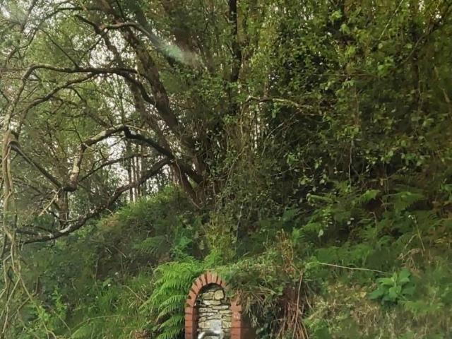 Terreno en venta en Tapia De Casariego, Asturias