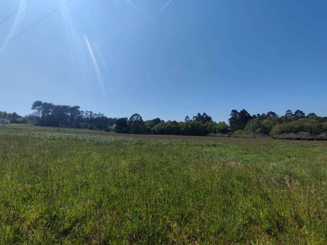 Terreno en venta en Tapia De Casariego, Asturias