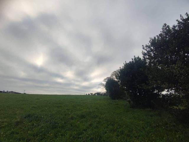 Terreno en venta en Tapia De Casariego, Asturias