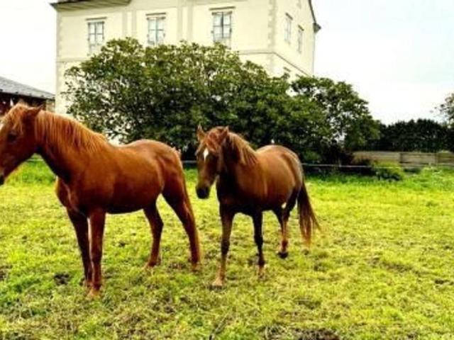 Terreno en venta en Tapia De Casariego, Asturias