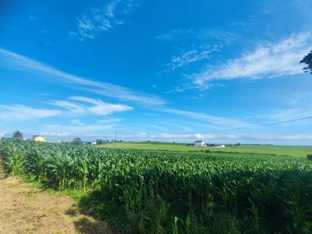 Terreno en venta en Tapia De Casariego, Asturias