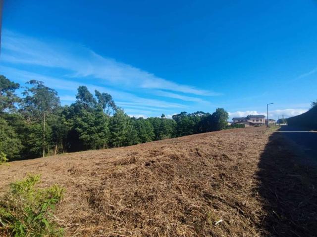 Terreno en venta en Tapia De Casariego