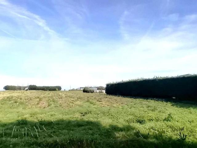 Terreno en venta en Tapia De Casariego, Asturias