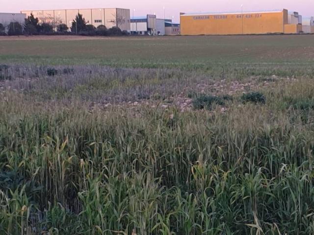 Terreno en venta en Tarancón