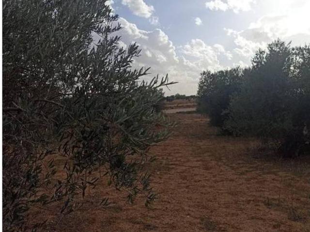 Terreno en venta en Tarancón, Castilla-La Mancha