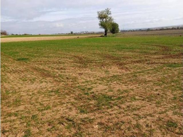 Terreno en venta en Tarancón, Castilla-La Mancha