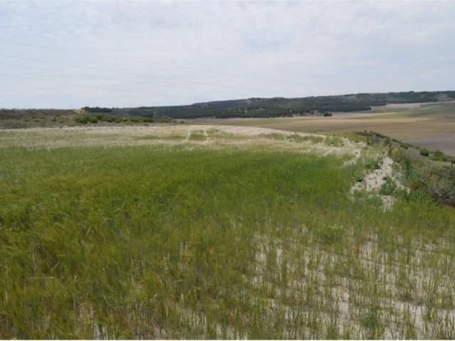 Terreno en venta en Tarancón, Castilla-La Mancha