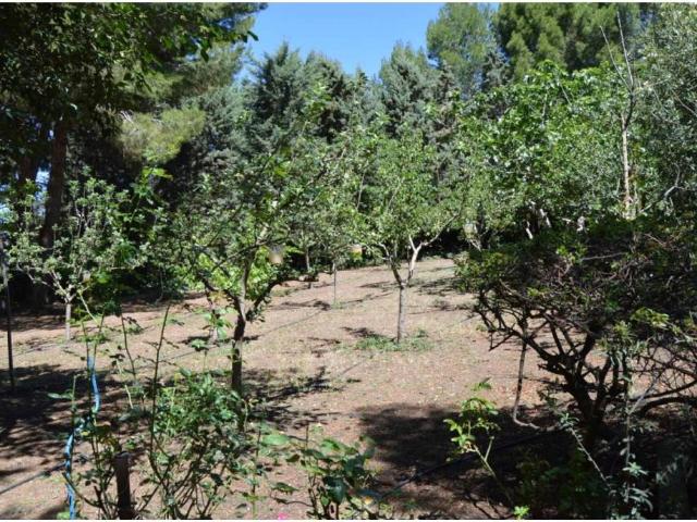 Terreno en venta en Tarancón, Castilla-La Mancha