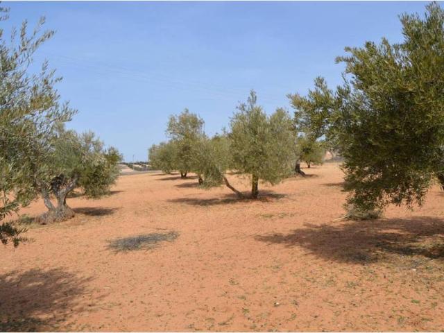 Terreno en venta en Tarancón, Castilla-La Mancha