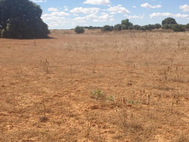 Terreno en venta en Tarancón Terreno en venta en Tarancón