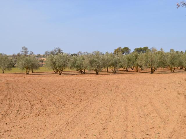 Terreno en venta en Tarancón Terreno en venta en Tarancón