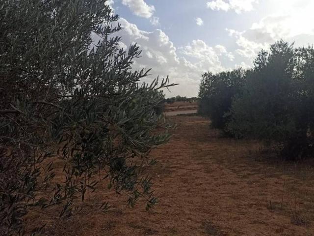 Terreno en venta en Tarancón