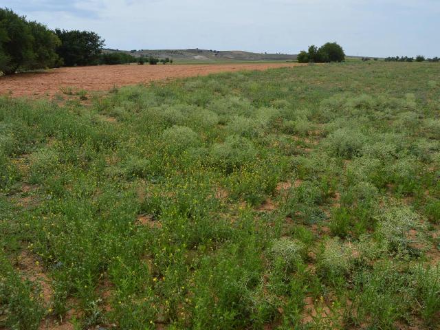 Terreno en venta en Tarancón Terreno en venta en Tarancón