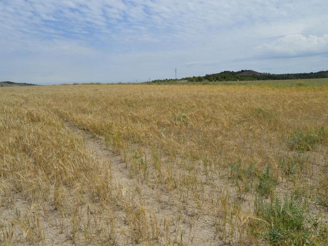 Terreno en venta en Tarancón Terreno en venta en Tarancón