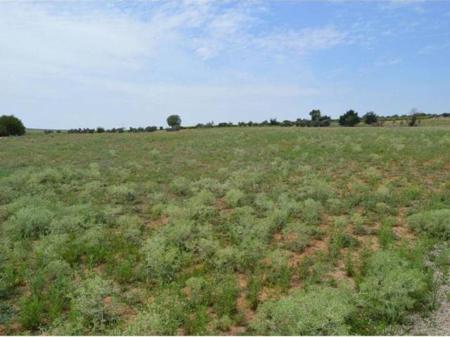 Terreno en venta en Tarancón, Castilla-La Mancha