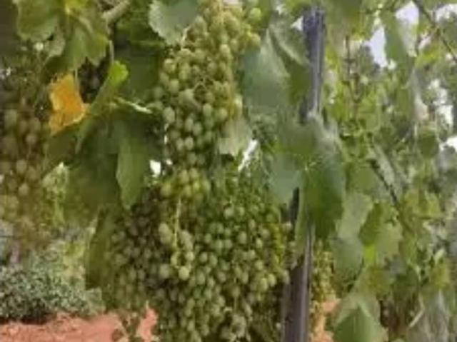 Terreno en venta en Tarancón, Castilla-La Mancha