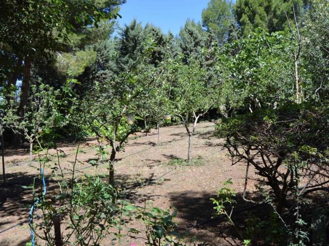Terreno en venta en Tarancón