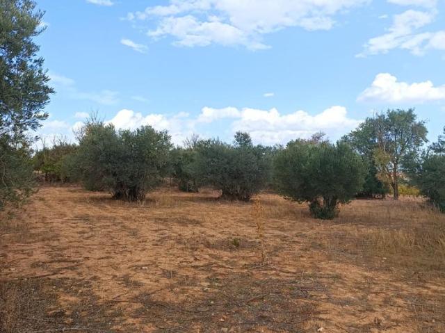 Terreno en venta en Tarancón