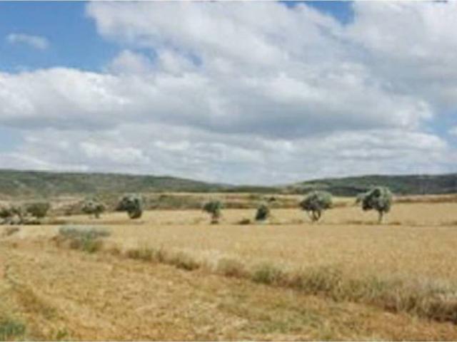 Terreno en venta en Eguaras, Tarazona y el Moncayo