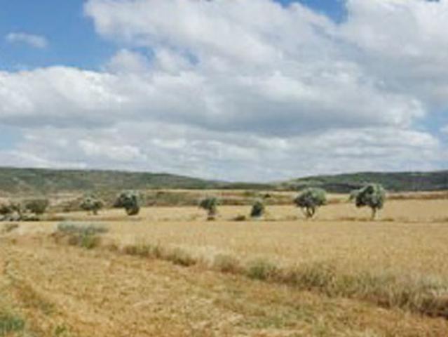 Terreno en venta en Tarazona y el Moncayo, Aragón