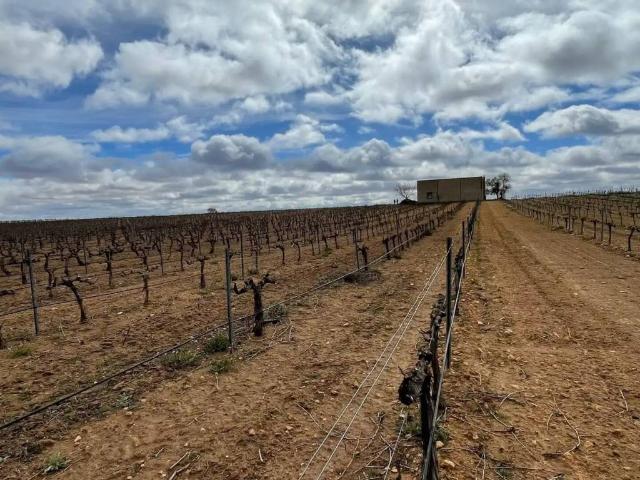 Terreno en venta en Tarazona De La Mancha, Castilla-La Mancha
