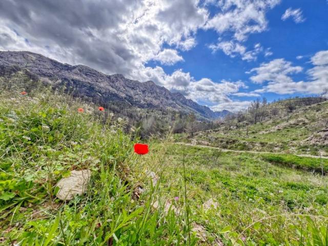 Terreno en venta en la Marina Baixa, Valencia