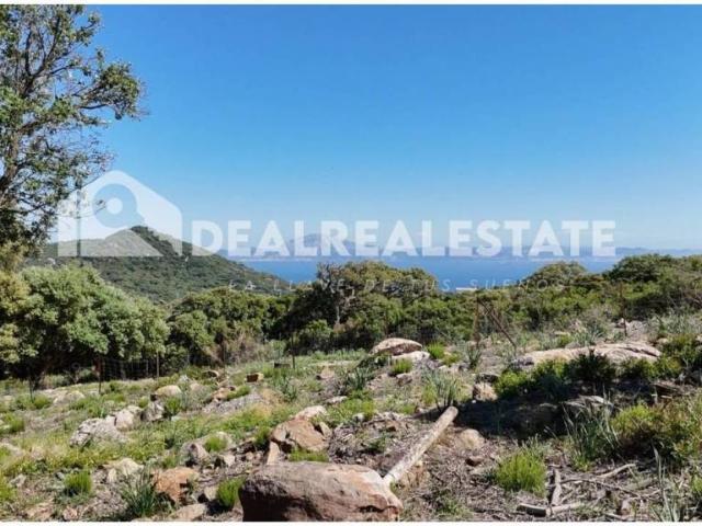 Terreno en venta en Campo de Gibraltar, Andalucía