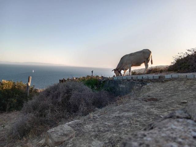 Terreno en venta en Campo de Gibraltar, Andalucía