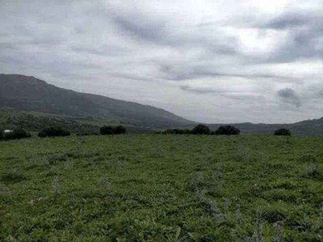 Terreno en venta en Campo de Gibraltar, Andalucía