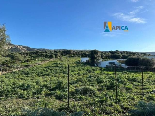 Terreno en venta en Campo de Gibraltar, Andalucía