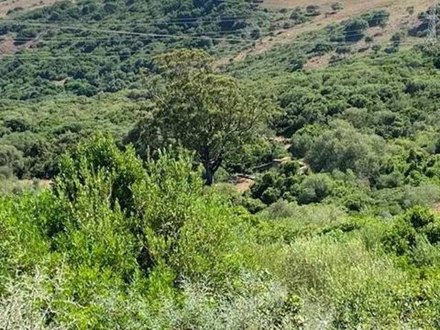 Terreno en venta en La Chanca, Campo de Gibraltar