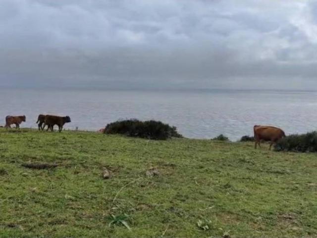 Terreno en venta en Campo de Gibraltar, Andalucía