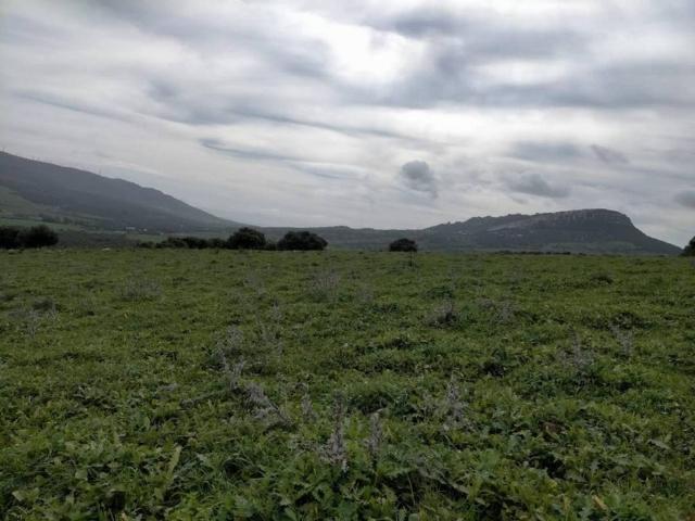 Terreno en venta en Campo de Gibraltar, Andalucía
