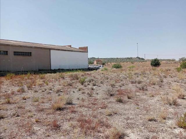 Terreno en venta en Urgell, Catalunya