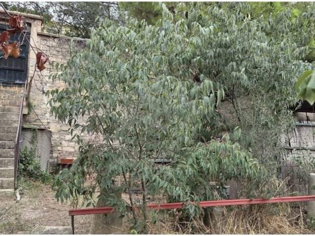Terreno en venta en Urgell, Catalunya