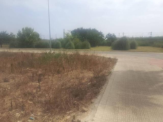 Terreno en venta en la Safor, Valencia