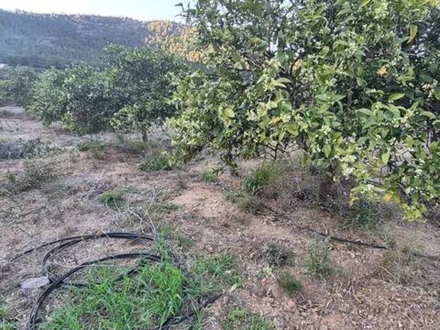Terreno en venta en la Safor, Valencia