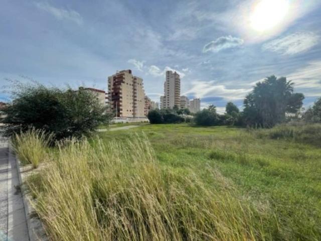 Terreno en venta en la Safor, Valencia