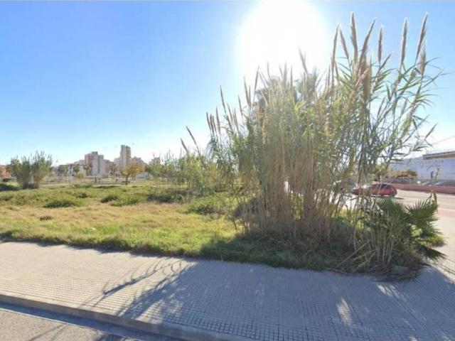 Terreno en venta en la Safor, Valencia