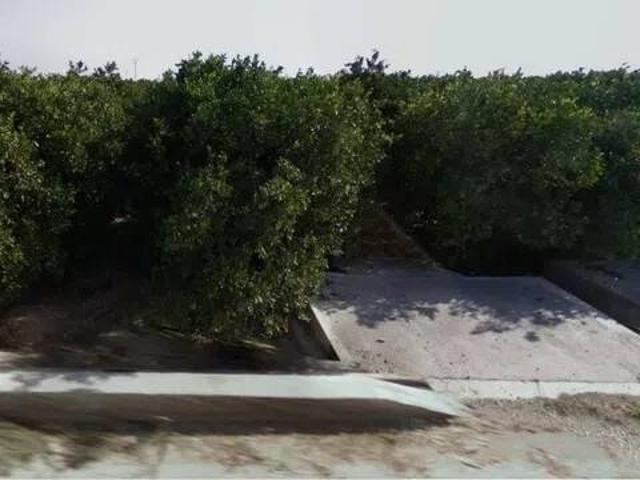 Terreno en venta en la Safor, Valencia
