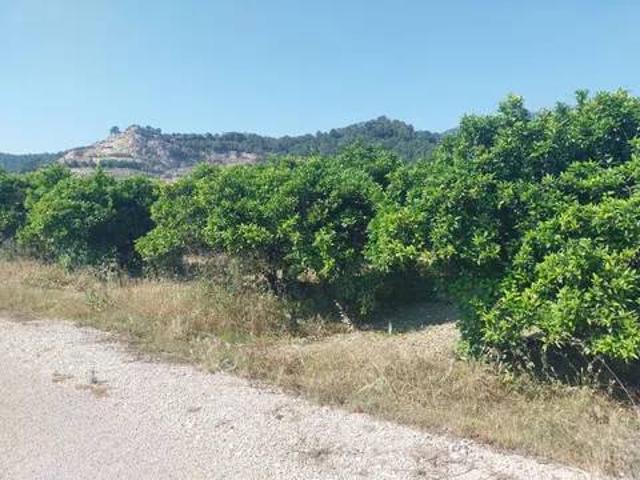 Terreno en venta en Platja de Tavernes de la Valldigna, la Safor