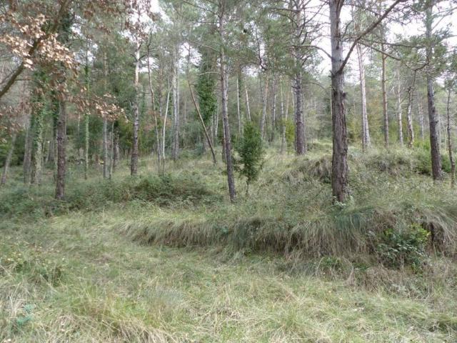 Terreno en venta en Osona, Catalunya