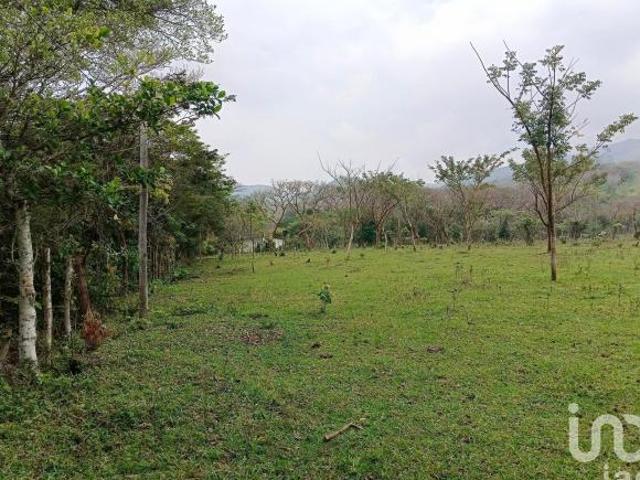 Terreno en venta en Catemaco, Veracruz