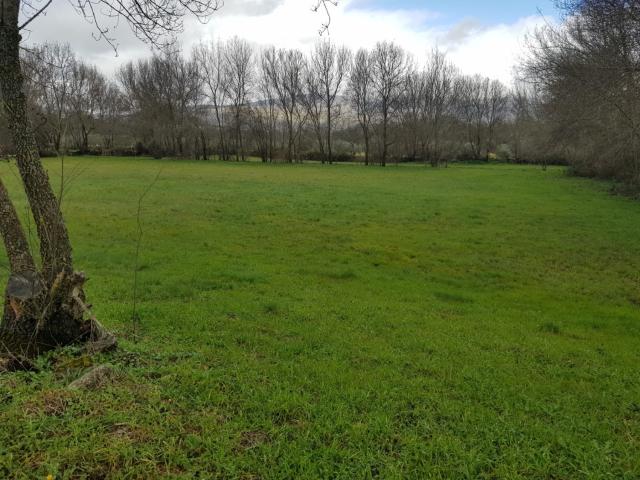 Terreno en venta en Tejeda De Tiétar, Extremadura
