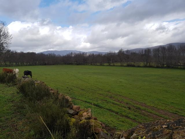 Terreno en venta en Tejeda De Tiétar, Extremadura