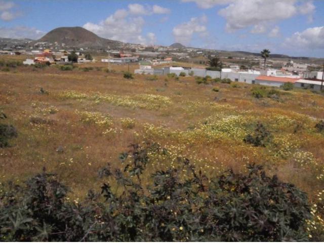 Terreno en venta en Telde, Canarias